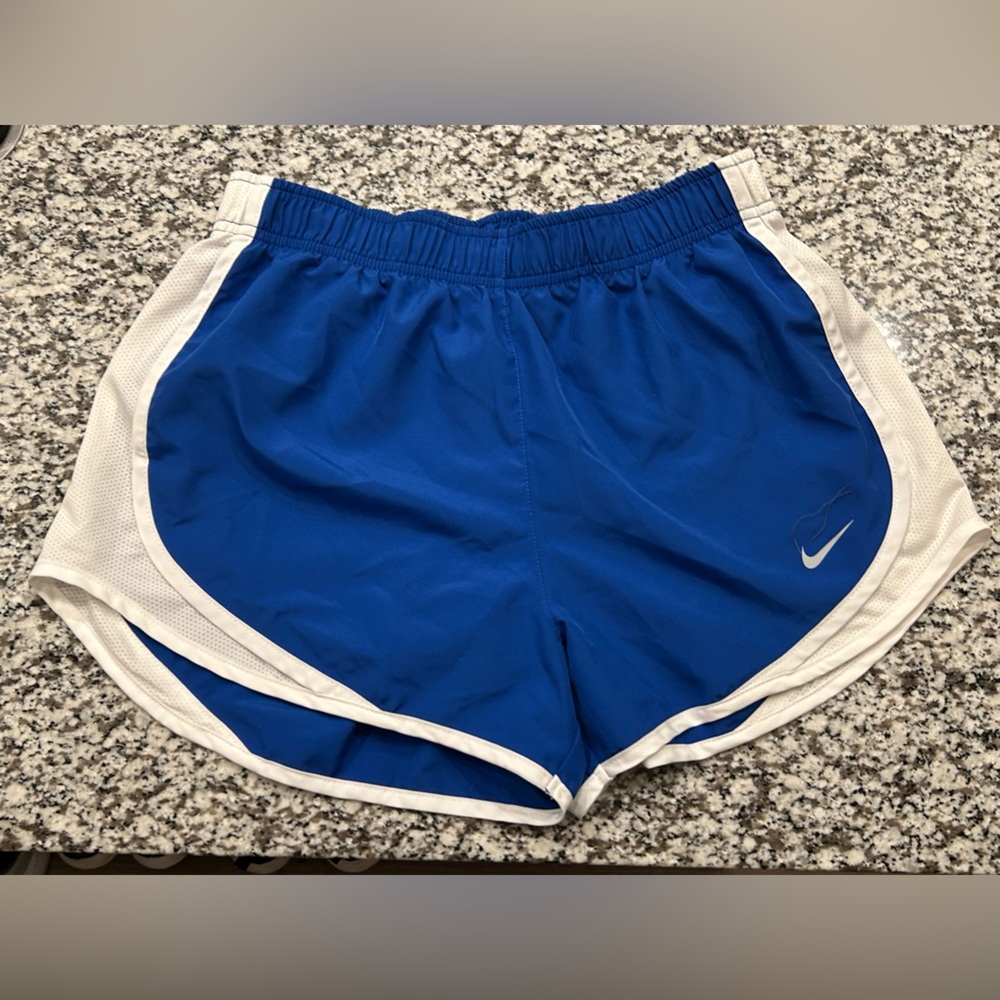 Nike Blue and White Athletic Shorts